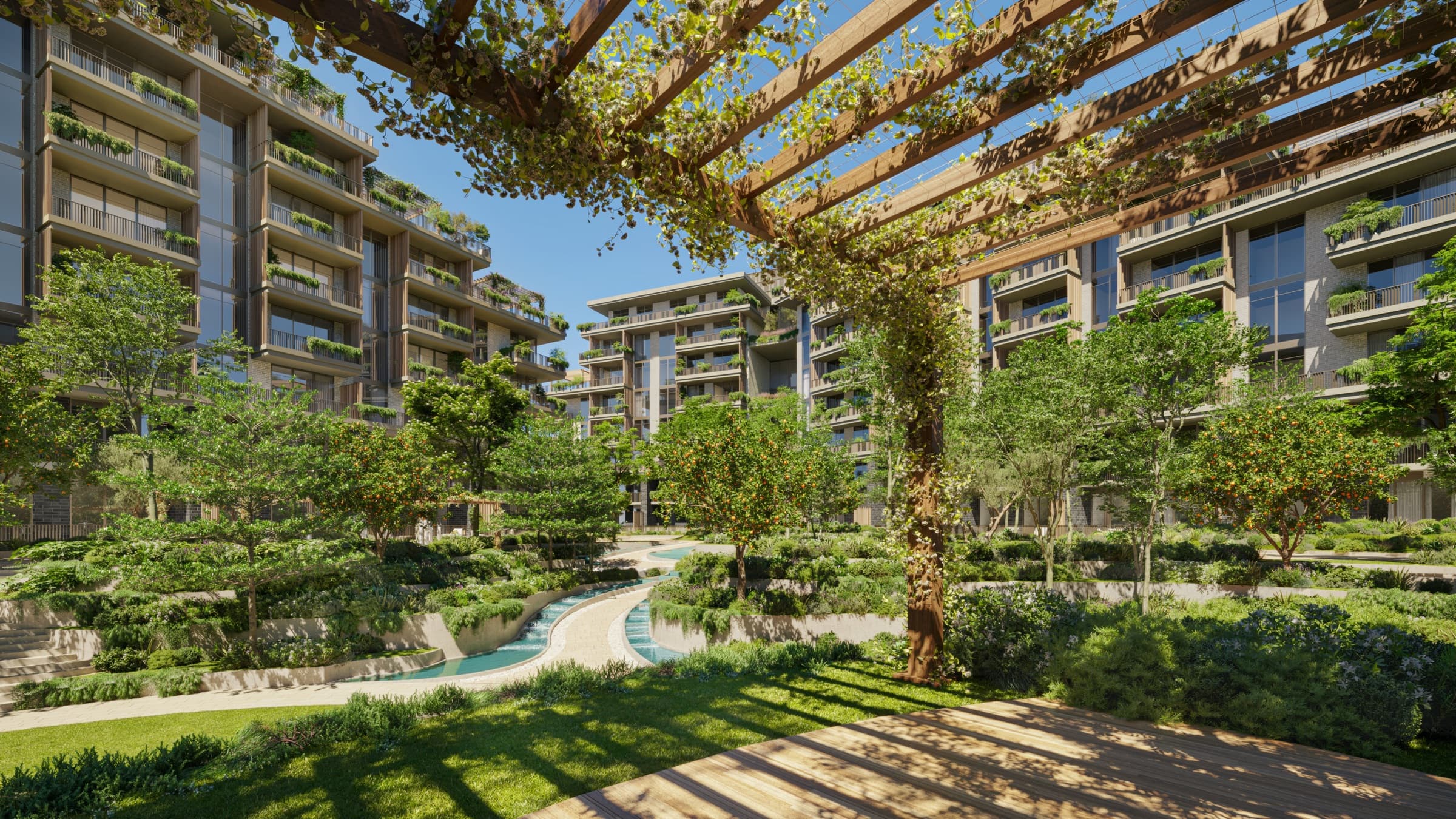 The Arancia Yards garden, with a timber pergola, citrus trees and a narrow water rill between the buildings.